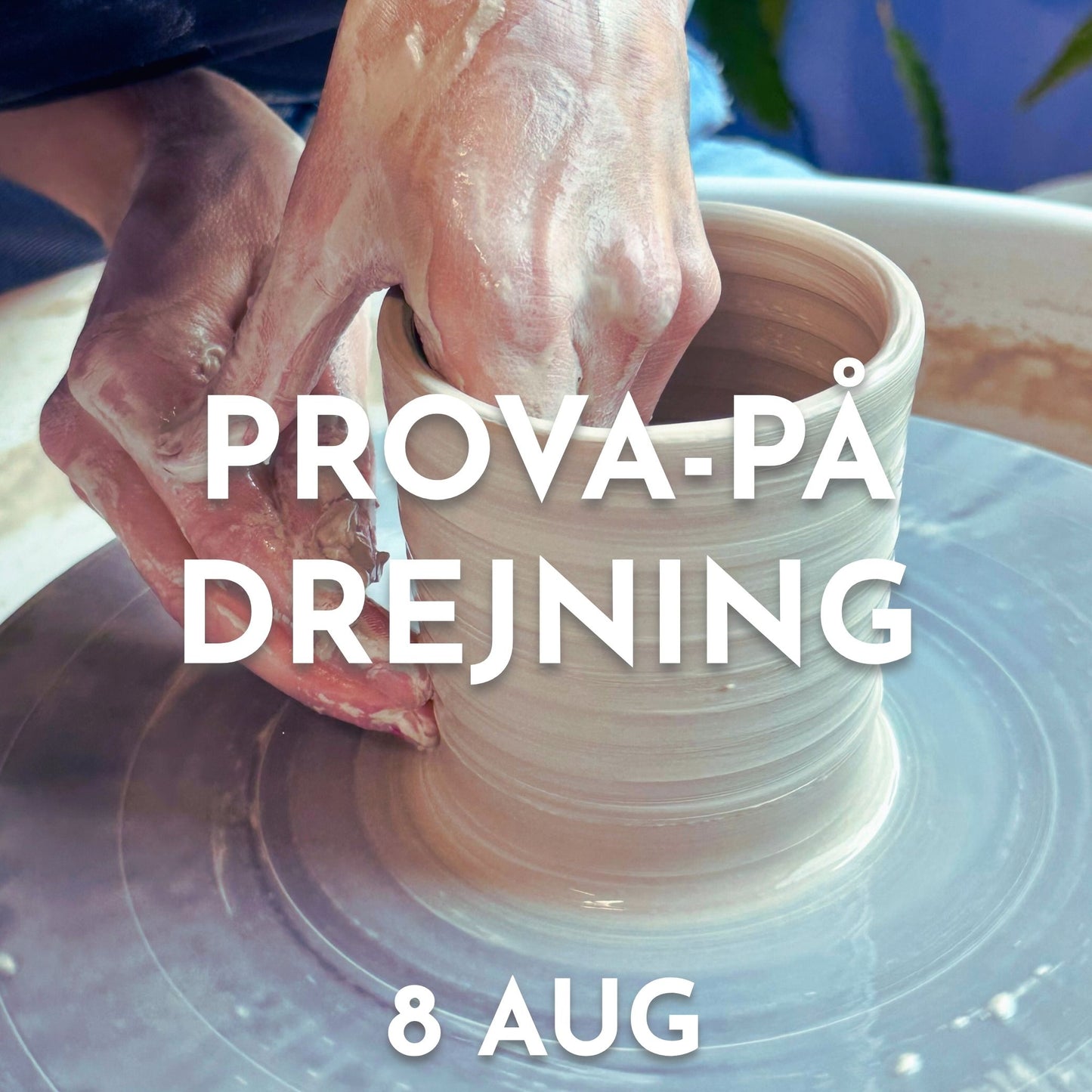 DAGSKURS 1 TILLFÄLLE, 8e aug